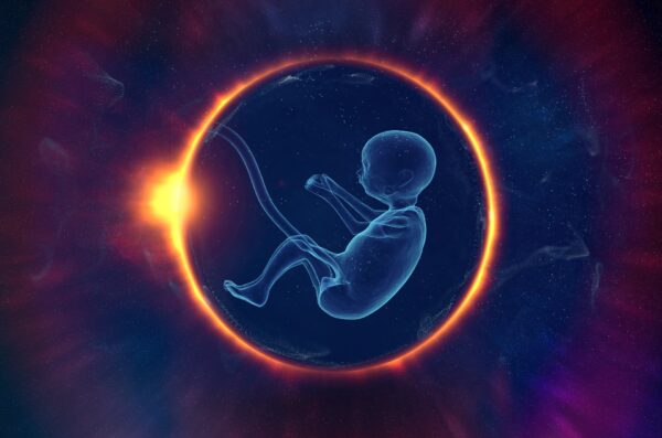 Egységélmény meditációs hanganyag